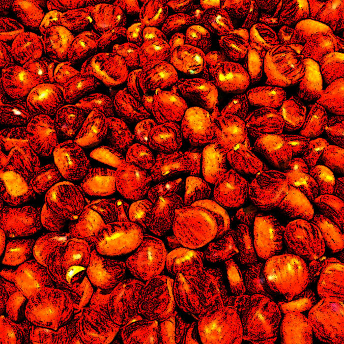Chestnuts by VIDEO HEAD CLEANER (Digital) 12