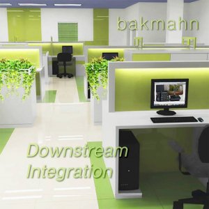 Downstream Integration by bakmahn (Cassette) 2
