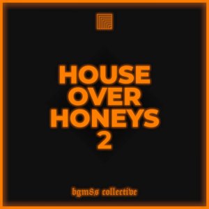 House Over Honeys 2 by VA (Digital) 2