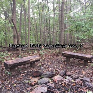 Maryland Field Recordings Vol. 1 by Stema (Physical) 4