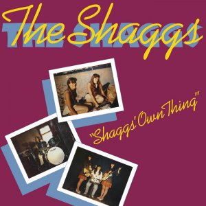Shaggs’ Own Thing by The Shaggs (Digital) 4