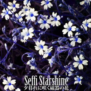 夕暮れに咲く磁器の花 by Seffi Starshine (Digital) 1