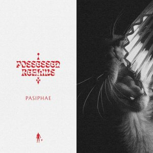 Possessed Realms by Pasiphae (Vinyl) 2